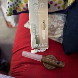 Intelligent Induction Light with Wood Finish